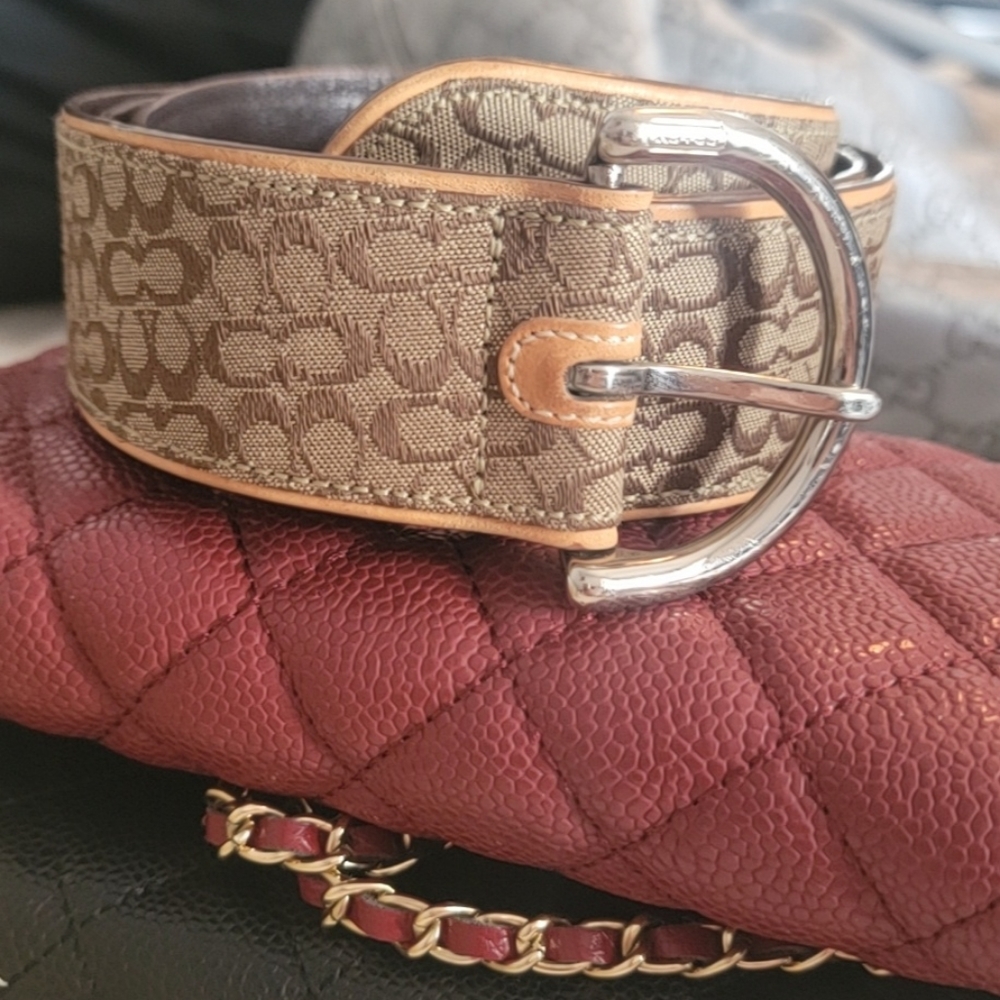 Coach belt